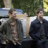 TVD407A_0152r