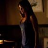 THE VAMPIRE DIARIES