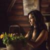 tvd503b_0055b-jpg-b2a538db-t3
