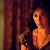 THE VAMPIRE DIARIES