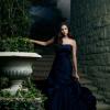 THE VAMPIRE DIARIES