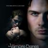 tvd2010sweepstext