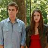 THE VAMPIRE DIARIES