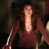THE VAMPIRE DIARIES