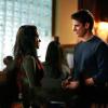THE VAMPIRE DIARIES