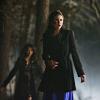 THE VAMPIRE DIARIES