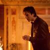 THE VAMPIRE DIARIES