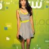 attends the CW Network's 2011 Upfront at Jazz at Lincoln Center on May 19, 2011 in New York City.