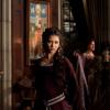 THE VAMPIRE DIARIES