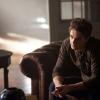 THE VAMPIRE DIARIES