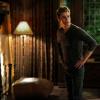 THE VAMPIRE DIARIES