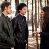 THE VAMPIRE DIARIES