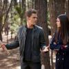 THE VAMPIRE DIARIES