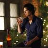 THE VAMPIRE DIARIES