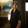 THE VAMPIRE DIARIES