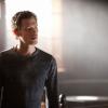 THE VAMPIRE DIARIES