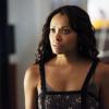 THE VAMPIRE DIARIES