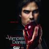 TVD s3 NovSweeps Damon Poster