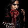 TVD s3 NovSweeps Elena Poster