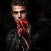 TVD s3 V3 Stefan Poster